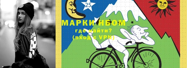 шишки Арсеньев