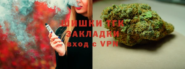 шишки Арсеньев