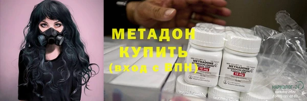 шишки Арсеньев