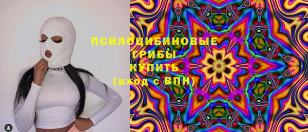 твердый Аркадак