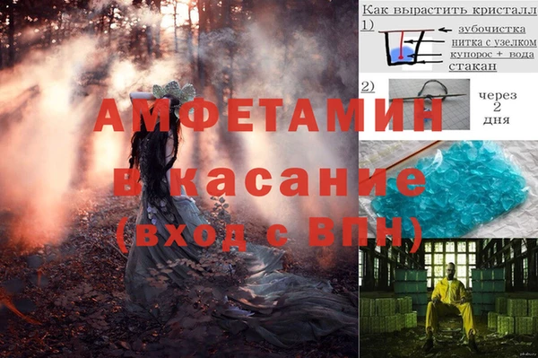 шишки Арсеньев