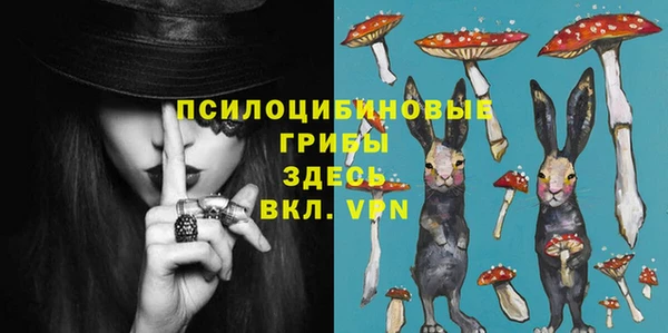 твердый Аркадак