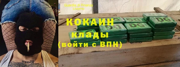 шишки Арсеньев