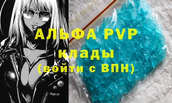 шишки Арсеньев