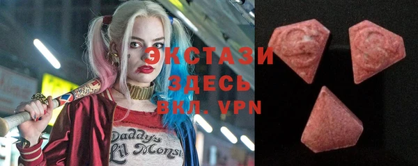шишки Арсеньев