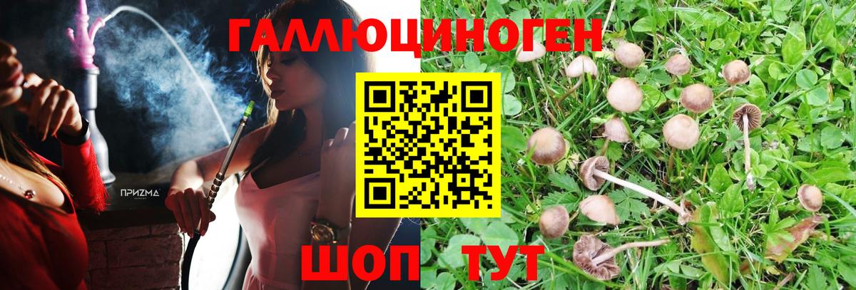 Галлюциногенные грибы мицелий  Галлюциногенные грибы Psilocybe  магазин    Вход с VPN  Междуреченск 